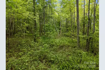 000 Red Fox Lane #17, Flat Rock, NC 28731 - Photo 18