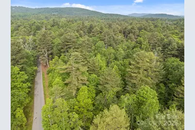 000 Red Fox Lane #17, Flat Rock, NC 28731 - Photo 8