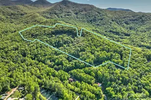 99999 Bull Crk Rd, Asheville, NC 28805 - Photo 1