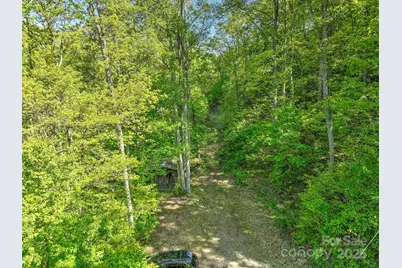 99999 Bull Creek Road, Asheville, NC 28805 - Photo 4