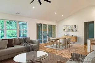 47 Skylar Ln, Mills River, NC 28759 - Photo 6