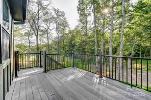 47 Skylar Ln, Mills River, NC 28759 - Photo 10