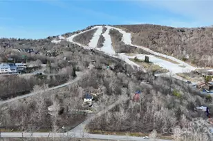 109 Beechwood Ln, Beech Mountain, NC 28604 - Photo 30