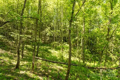Off Of Locust Creek Road, Sylva, NC 28779 - Photo 10