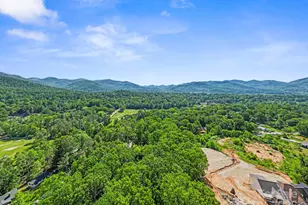 124 Hilltop Rd, Black Mountain, NC 28711 - Photo 40