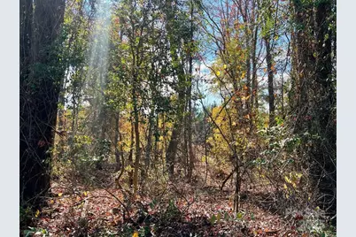 02 Old Camden Highway, Lancaster, SC 29720 - Photo 4