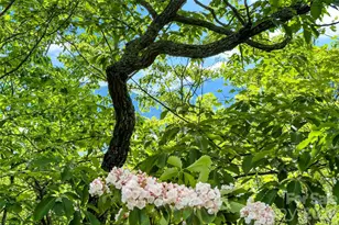 42 Parkway Dr, Marion, NC 28752 - Photo 24