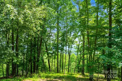 120 Split Rock Trail, Arden, NC 28704 - Photo 6