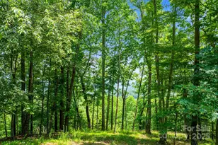 120 Split Rock Trl, Arden, NC 28704 - Photo 6