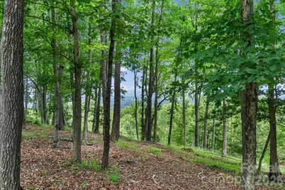 120 Split Rock Trail, Arden, NC 28704 - Photo 6