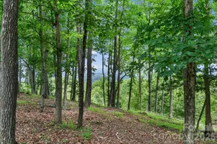 120 Split Rock Trl, Arden, NC 28704 - Photo 6