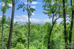 120 Split Rock Trl, Arden, NC 28704 - Photo 4