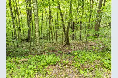 65 Bee Tree Lane, Mars Hill, NC 28754 - Photo 1