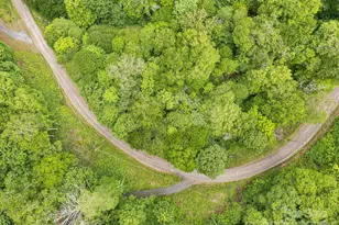 65 Bee Tree Ln, Mars Hill, NC 28754 - Photo 8