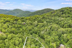 65 Bee Tree Ln, Mars Hill, NC 28754 - Photo 12