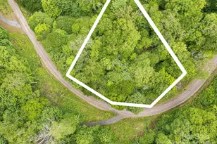 65 Bee Tree Ln, Mars Hill, NC 28754 - Photo 10