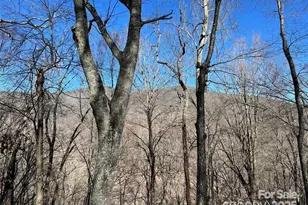 00 Chestnut Ln, Mars Hill, NC 28754 - Photo 4