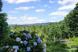 837 California Ave, Marion, NC 28752 - Photo 2