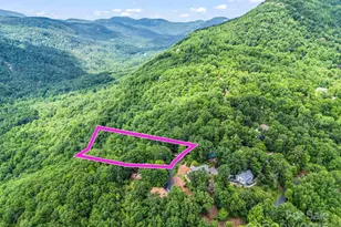 698 Youngs Mountain Dr, Lake Lure, NC 28746 - Photo 8