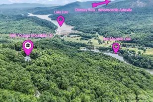 698 Youngs Mountain Dr, Lake Lure, NC 28746 - Photo 2