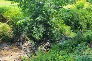 51 Barebridge Fields Rd, Burnsville, NC 2874 - Photo 10