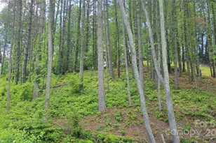 51 Barebridge Fields Rd, Burnsville, NC 2874 - Photo 16