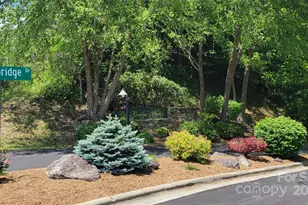 51 Barebridge Fields Rd, Burnsville, NC 2874 - Photo 18