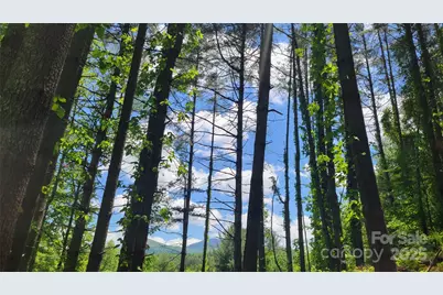 51 Barebridge Fields Road #51, Burnsville, NC 2874 - Photo 4