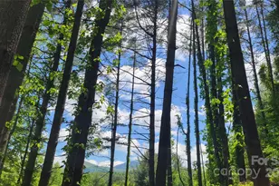 51 Barebridge Fields Rd, Burnsville, NC 2874 - Photo 4