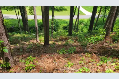 51 Barebridge Fields Road #51, Burnsville, NC 2874 - Photo 6