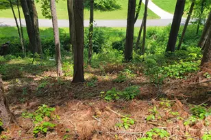 51 Barebridge Fields Rd, Burnsville, NC 2874 - Photo 6