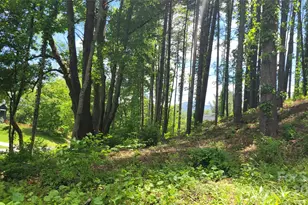 51 Barebridge Fields Rd, Burnsville, NC 2874 - Photo 14