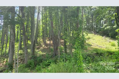 51 Barebridge Fields Road #51, Burnsville, NC 2874 - Photo 20