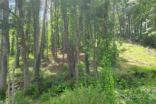 51 Barebridge Fields Rd, Burnsville, NC 2874 - Photo 20