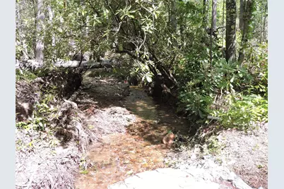 0 Swiss Pine Lake Drive, Spruce Pine, NC 28777 - Photo 32