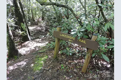 0 Swiss Pine Lake Drive, Spruce Pine, NC 28777 - Photo 16