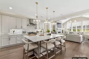 1001 Kingbird Ln, Clover, SC 29710 - Photo 4