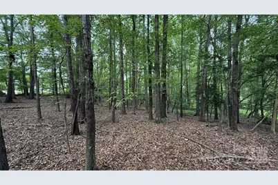 0 College Avenue, Shelby, NC 28152 - Photo 2