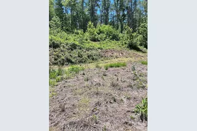 611 Johnson Hollow Road, Bakersville, NC 28705 - Photo 30