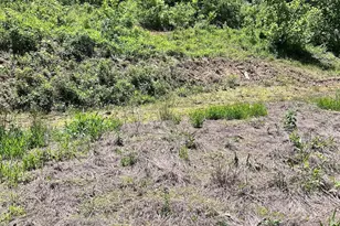 611 Johnson Hollow Rd, Bakersville, NC 28705 - Photo 30