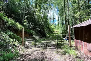 611 Johnson Hollow Rd, Bakersville, NC 28705 - Photo 38