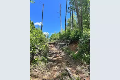 611 Johnson Hollow Road, Bakersville, NC 28705 - Photo 32