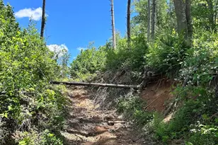 611 Johnson Hollow Rd, Bakersville, NC 28705 - Photo 32