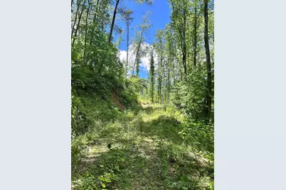 611 Johnson Hollow Road, Bakersville, NC 28705 - Photo 28