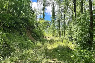 611 Johnson Hollow Rd, Bakersville, NC 28705 - Photo 28