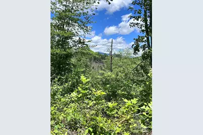 611 Johnson Hollow Road, Bakersville, NC 28705 - Photo 34