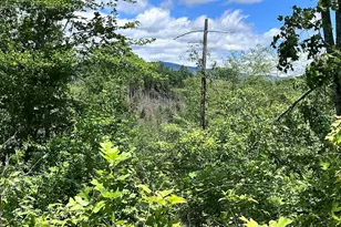 611 Johnson Hollow Rd, Bakersville, NC 28705 - Photo 34