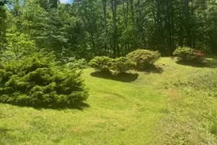 240 Goshen Terrace, Wilkesboro, NC 28697 - Photo 12