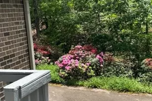 240 Goshen Terrace, Wilkesboro, NC 28697 - Photo 20