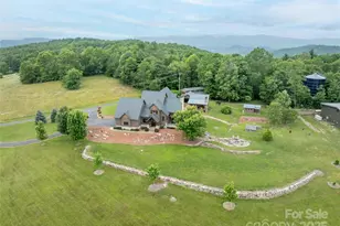 4862 Pinnacle Mountain Rd, Zirconia, NC 28790 - Photo 6